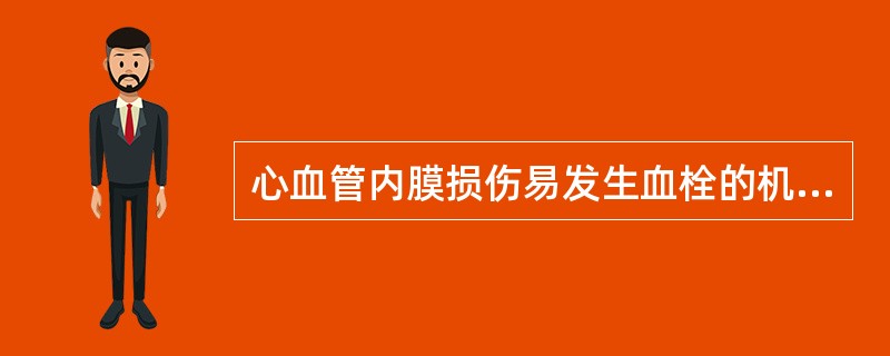 心血管内膜损伤易发生血栓的机制为