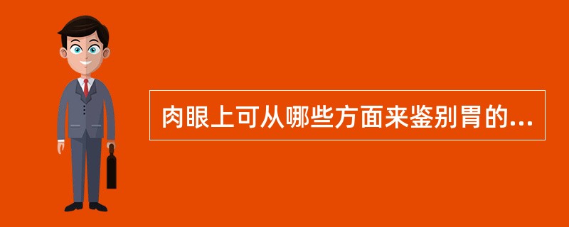 肉眼上可从哪些方面来鉴别胃的良、恶性溃疡()