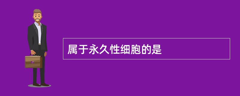 属于永久性细胞的是