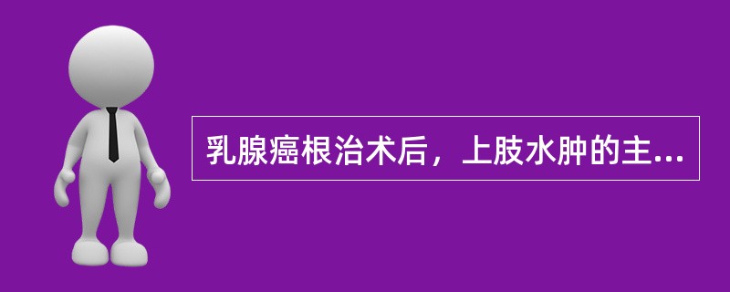 乳腺癌根治术后，上肢水肿的主要原因是()