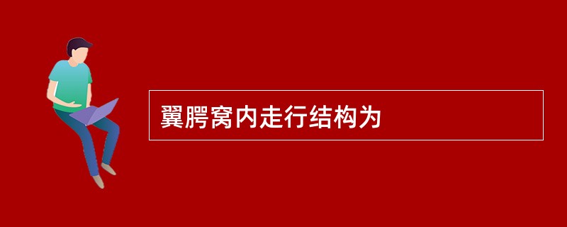 翼腭窝内走行结构为