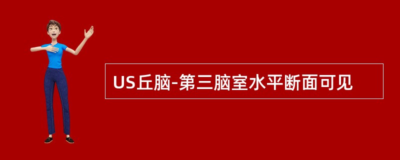 US丘脑-第三脑室水平断面可见