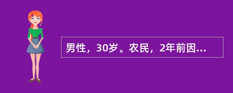 男性，30岁。农民，2年前因乏力，消瘦，在卫生院检查有脾肿大；服中药10剂，未做进一步诊治。近1个月来发热，头晕；骨关节疼痛，皮肤出血点来诊。体检：贫血貌，颈部淋巴结肿大，胸骨下段有压痛，肝肋下2cm