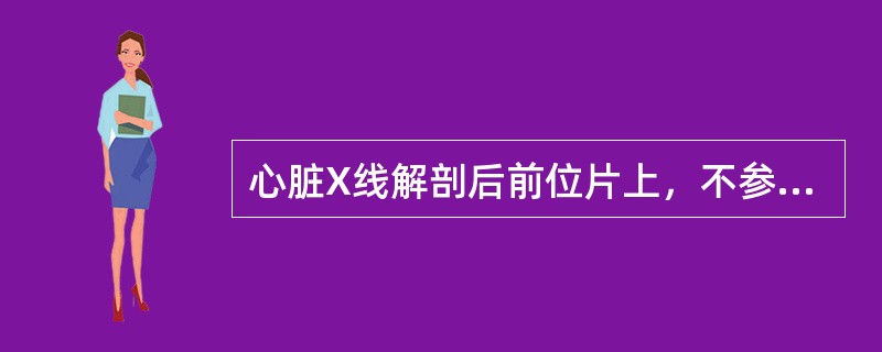 心脏X线解剖后前位片上，不参与构成左心缘的有