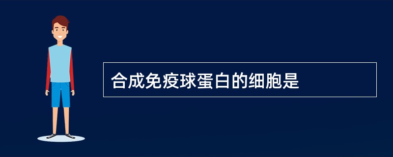 合成免疫球蛋白的细胞是