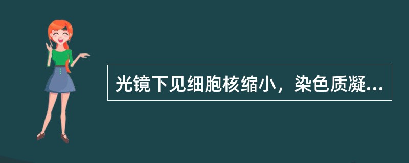 光镜下见细胞核缩小，染色质凝聚，呈深蓝色的是（）。