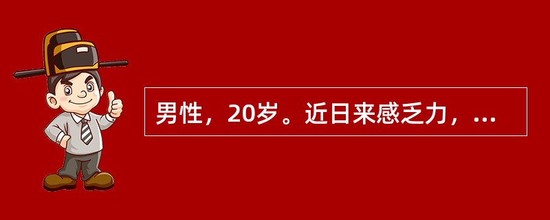 男性，20岁。近日来感乏力，肝区痛，食欲不佳就诊。体检：肝肋下2cm，质中有压痛，脾不大，做肝活组织检查，下列哪项病理变化最符合慢性肝炎的诊断