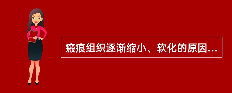 瘢痕组织逐渐缩小、软化的原因是（）。