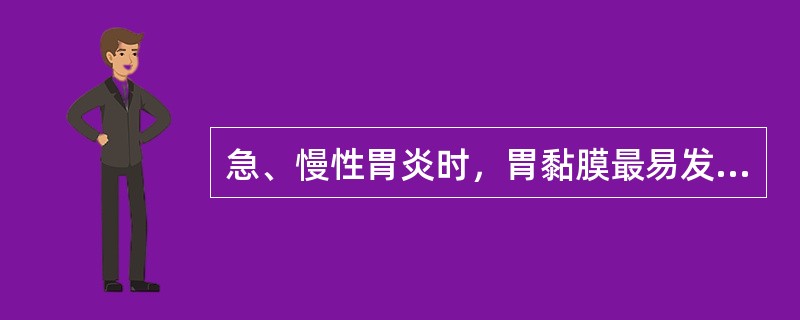 急、慢性胃炎时，胃黏膜最易发生的病变是（）。