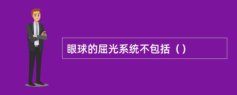 眼球的屈光系统不包括（）