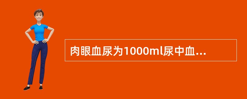 肉眼血尿为1000ml尿中血的毫升数为（）