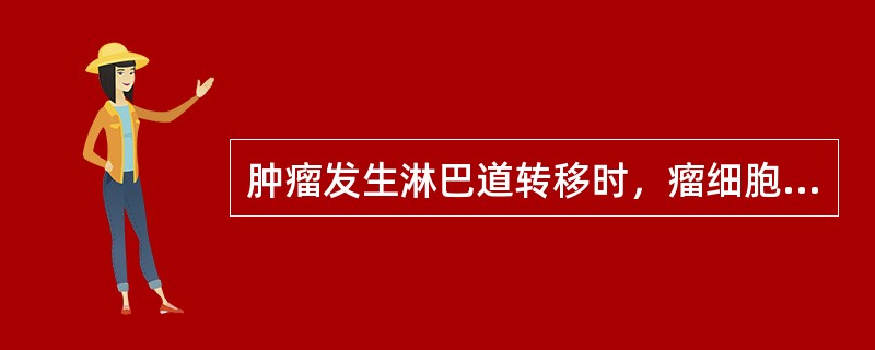 肿瘤发生淋巴道转移时，瘤细胞首先聚集在（）