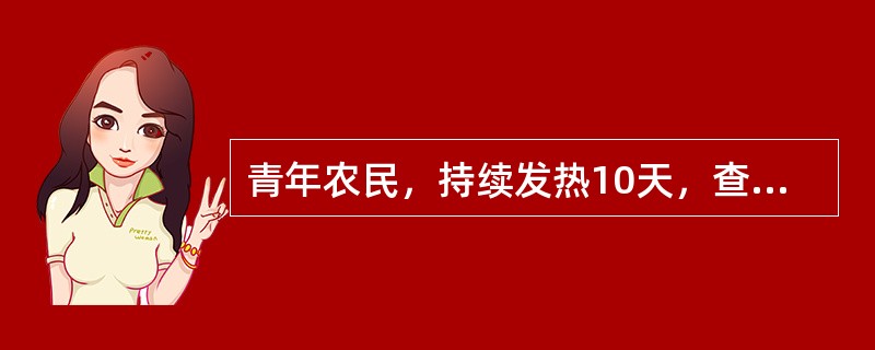 青年农民，持续发热10天，查体：体温39.3℃，脉搏78次/分，肝肋下1cm，脾肋下2cm，实验室检查：wbc5.2×10/L，ALT140U，HBSAg(+)。最可能的诊断是：