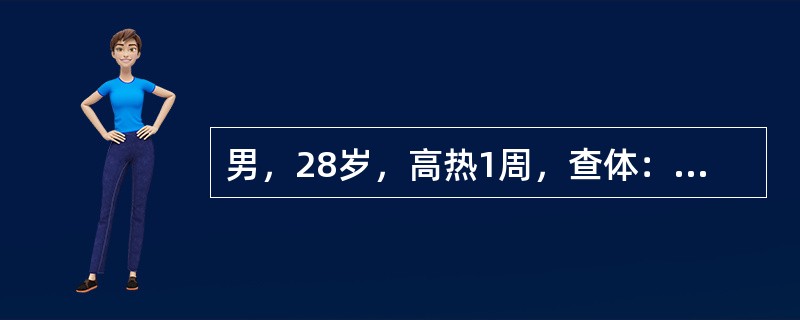 男，28岁，高热1周，查体：贫血貌，皮肤大量瘀斑和散在出血点，浅表淋巴结、肝、脾均不肿大，白细胞3．4×10<img border="0" style="width