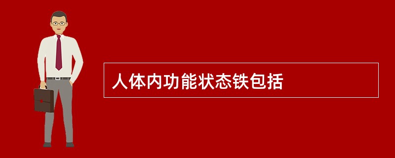 人体内功能状态铁包括