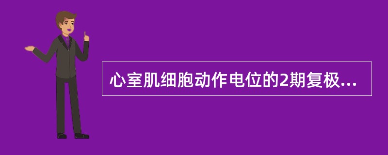 心室肌细胞动作电位的2期复极形成与下列哪种因素有关()