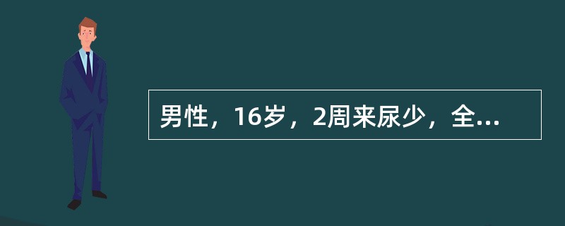男性，16岁，2周来尿少，全身浮肿明显，尿蛋白定量5g／d，血浆白蛋白18g／L，尿沉渣镜检有红细胞3～5／HP，有透明管型，偶见颗粒管型，血红蛋白正常，血肌酐正常，血尿素氮10mnol／L。提示：2