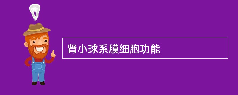 肾小球系膜细胞功能