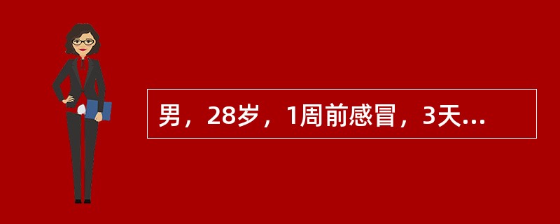 男，28岁，1周前感冒，3天来浮肿、尿少(300～400ml／24h)；血压150／100mmHg；血红蛋白80g,／L，血沉90mm／第1小时末，尿蛋白(+++)，尿沉渣红细胞20～40个／HP，血
