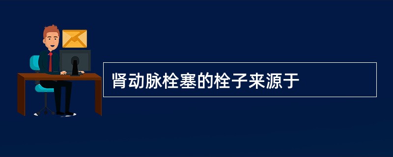 肾动脉栓塞的栓子来源于