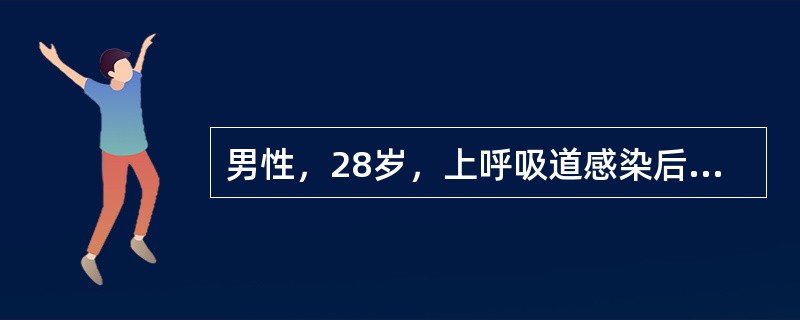男性，28岁，上呼吸道感染后2周，出现肉眼血尿、颜面浮肿入院，体检：血压20／13．5kPa(150／100mmHg)，尿蛋白(+)，红细胞满视野，血Cr180μmol／L。提示：患者病理诊断为毛细血