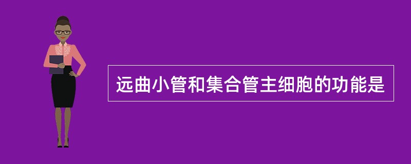 远曲小管和集合管主细胞的功能是