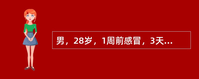 男，28岁，1周前感冒，3天来浮肿、尿少(300～400ml／24h)；血压150／100mmHg；血红蛋白80g,／L，血沉90mm／第1小时末，尿蛋白(+++)，尿沉渣红细胞20～40个／HP，血