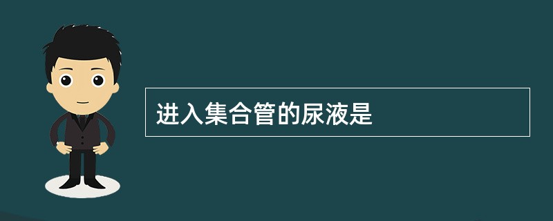 进入集合管的尿液是