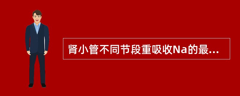 肾小管不同节段重吸收Na的最大部位是