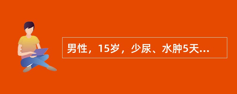 男性，15岁，少尿、水肿5天，咳嗽气短不能平卧1天，起病前2周喉痛3天，血压170／110mmHg，端坐呼吸，两肺底有散在湿啰音，尿比重1．022，尿蛋白(+++)，红细胞30～90个／HP，血清补体