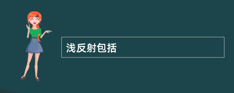 浅反射包括