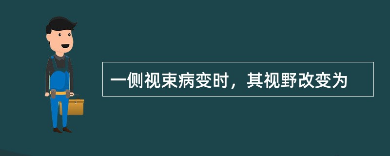 一侧视束病变时，其视野改变为