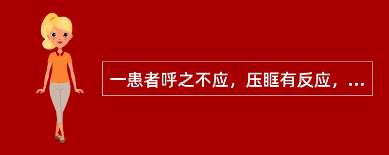 一患者呼之不应，压眶有反应，呼吸平稳，腹壁反射消失，瞳孔对光反射及腱反射存在，其意识状态为：