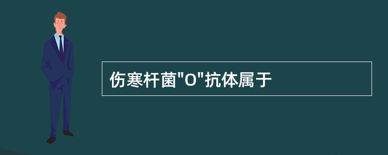 伤寒杆菌"O"抗体属于