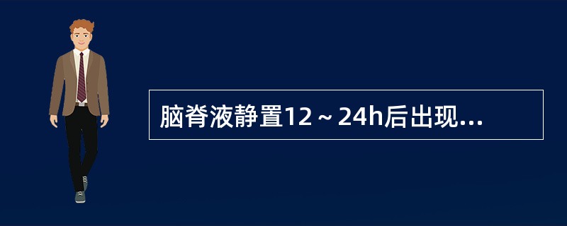 脑脊液静置12～24h后出现纤细的薄膜可能是