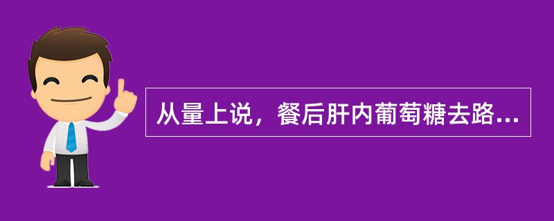 从量上说，餐后肝内葡萄糖去路最多的代谢途径是