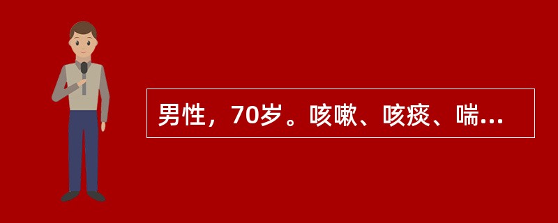 男性，70岁。咳嗽、咳痰、喘息30余年，5年来间断加重，伴有双下肢水肿，一周来咳喘并下肢水肿加重伴有嗜睡入院。以下检查对诊断具有重要意义的是