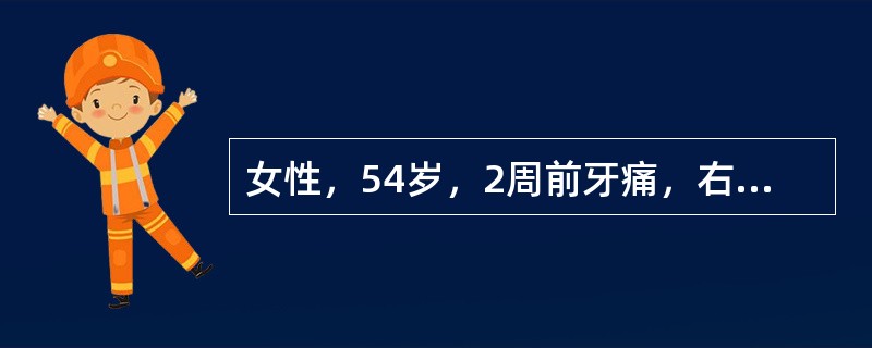 女性，54岁，2周前牙痛，右颌中度肿胀。未治疗。4天来高热，体温39.8℃，寒战，咳嗽，咳少量白痰。其后痰量逐渐增多，呈黄脓痰有臭味。WBC21×10<img border="0&qu