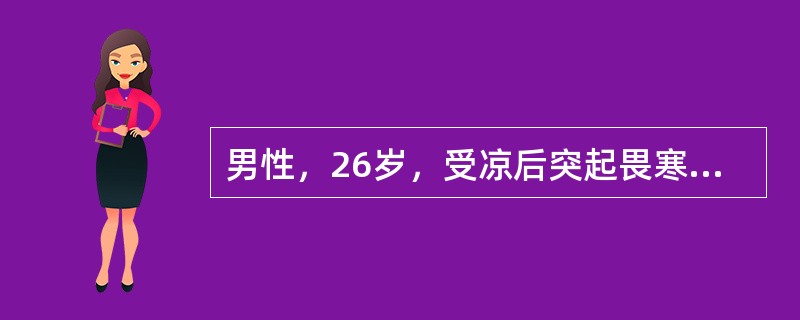 男性，26岁，受凉后突起畏寒、发热，体温39℃，伴左侧胸痛，咳少量白痰。胸透示左下肺野大片淡薄阴影，予以青霉素治疗1天后，体温接近正常。最可能的诊断是