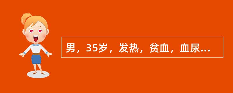 男，35岁，发热，贫血，血尿，既往有副鼻窦炎，结合X线图像，最可能的诊断是()<img border="0" style="width: 159px; height