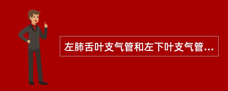 左肺舌叶支气管和左下叶支气管同时扩张的原因是()