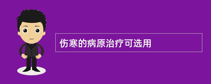 伤寒的病原治疗可选用