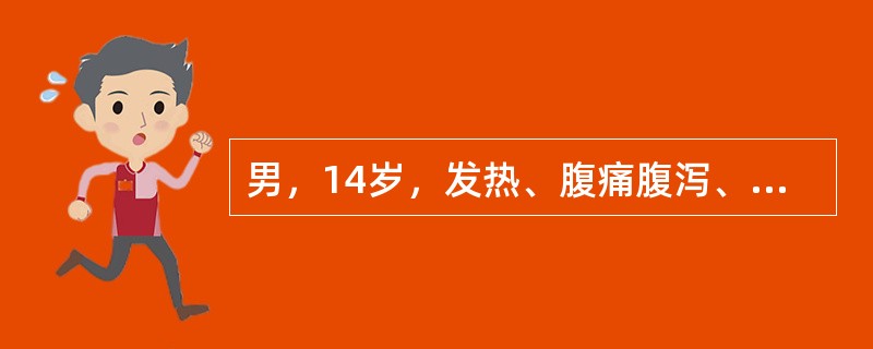 男，14岁，发热、腹痛腹泻、胃纳减退、尿少色黄、排粘液脓血样大便、里急后重、精神疲倦3天，体检发现脐周压痛，肠鸣音亢进，粪便镜检发现每个高倍视野内有白细胞15～18个。本病例的诊断应首先考虑()