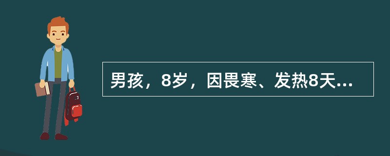 男孩，8岁，因畏寒、发热8天，伴纳差、腹胀、腹痛，大便每天1—2次，略稀，当地医院用青霉素治疗热不退转来。体检：体温39.2℃神志清，精神萎靡，表情淡漠，舌苔厚，心肺无异常，腹略胀，肝肋下2cm，脾肋