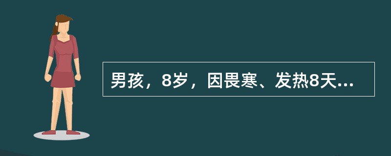 男孩，8岁，因畏寒、发热8天，伴纳差、腹胀、腹痛，大便每天1—2次，略稀，当地医院用青霉素治疗热不退转来。体检：体温39.2℃神志清，精神萎靡，表情淡漠，舌苔厚，心肺无异常，腹略胀，肝肋下2cm，脾肋