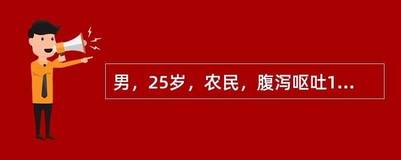 男，25岁，农民，腹泻呕吐1天，大便水样，无数次，无腹痛及发热。病前1天曾吃宵夜，同吃3人仅1人发病。体格检查：BP40/20mmHg，脉细速，神志欠清，脱水。上述病例应立即采取的措施为()