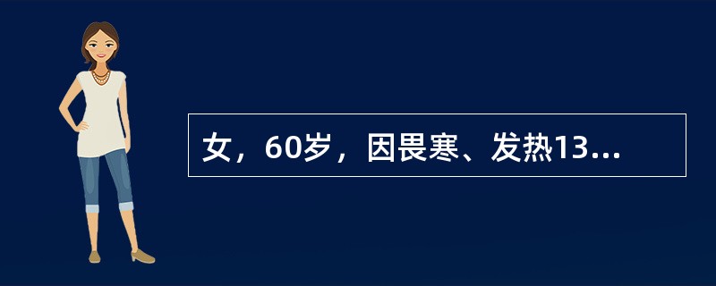 女，60岁，因畏寒、发热13天入院。体格检查：T39℃，BP70/40mmHg，心、肺无明显异常，脾左肋下1cm。该病人诊断首先考虑()