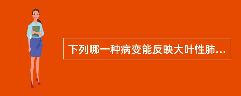 下列哪一种病变能反映大叶性肺炎的本质()