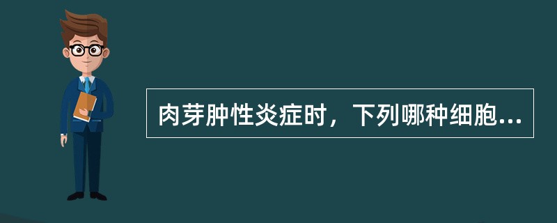 肉芽肿性炎症时，下列哪种细胞是主要成分