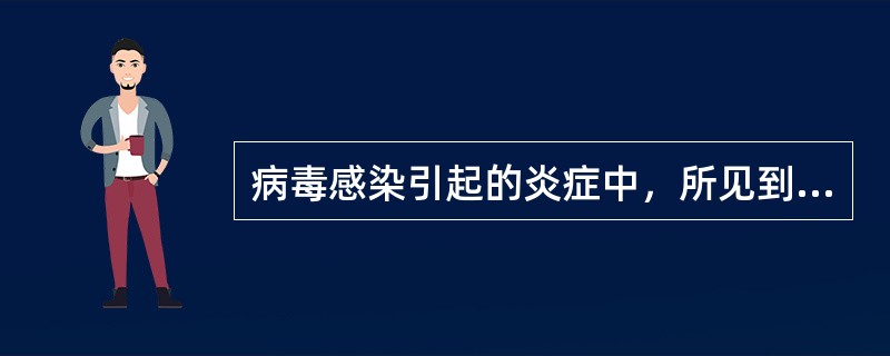 病毒感染引起的炎症中，所见到的主要细胞是()
